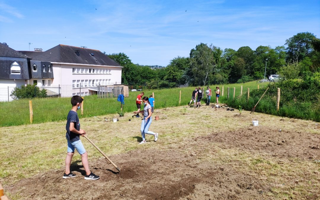 Le jardin-laboratoire