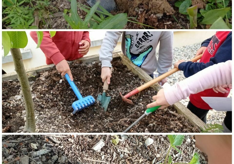 Recyclage et petites bêtes