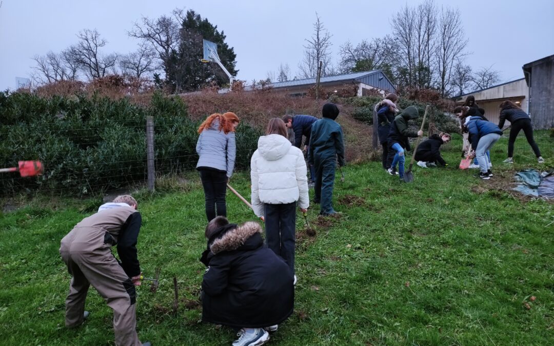 Journée Internationale des Forêts : préparation du sol