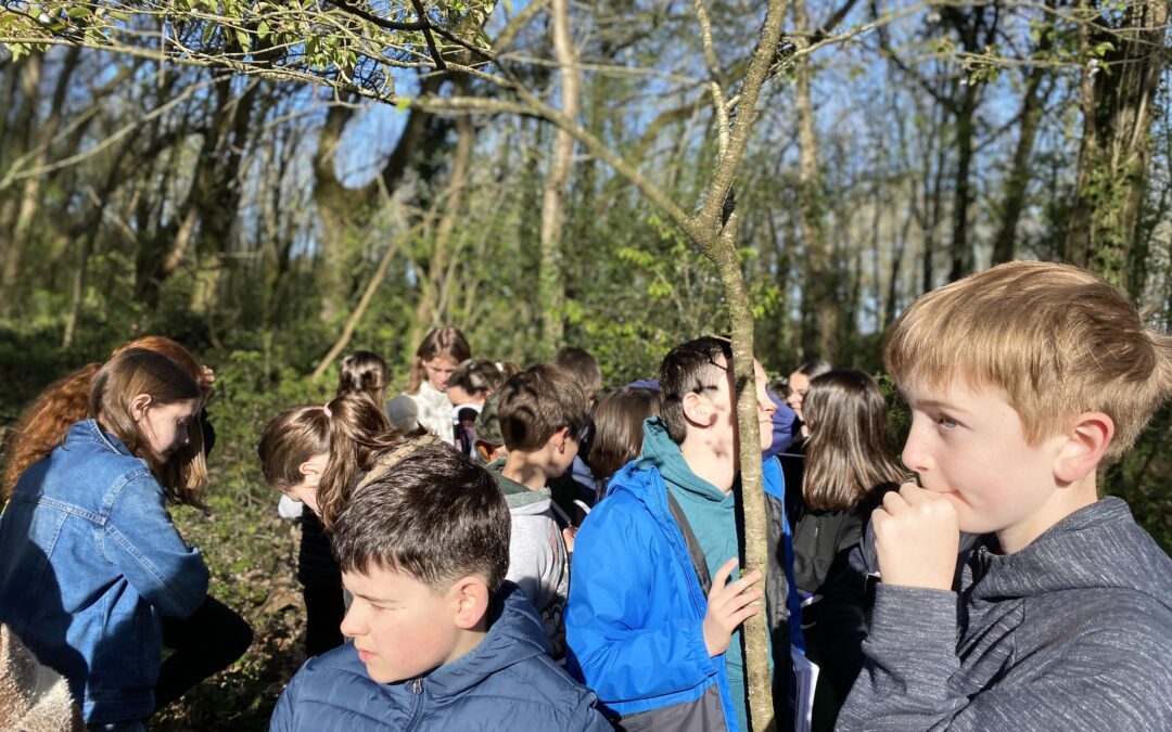 Sortie des 6ème en forêt